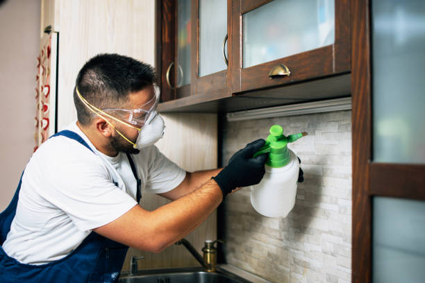 Best Affordable Pest Control Services  in Elk Grove, CA