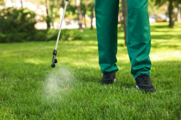Best Termite Control Services  in Elk Grove, CA