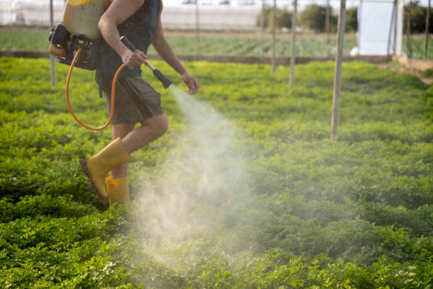 Elk Grove, CA Pest Control Company