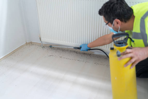 Best Flea Control Services  in Elk Grove, CA