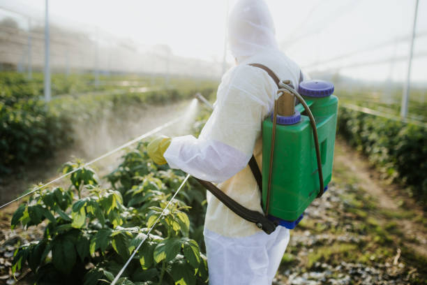 Flea Control Services in Elk Grove, CA
